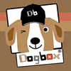 DOGBOX 01